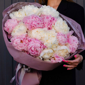 Фотография Букет из 15 розовых и белых пионов 