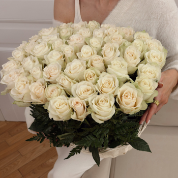 Фотография Корзина из 51 белой розы "Мелодия Сиены" 