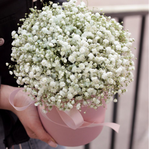 7 белых гипсофил в шляпной коробке