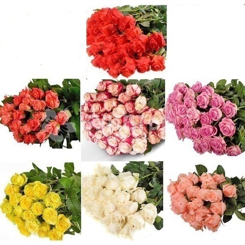 Букет "Покорить ее за 7 дней"