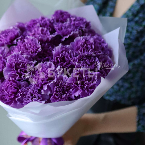 Букет из 35 фиолетовых гвоздик Премиум
