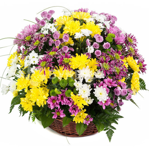 Корзина с хризантемами "Вечность"