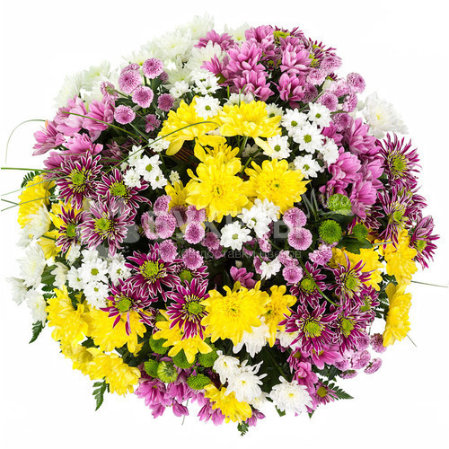 Корзина с хризантемами "Вечность"