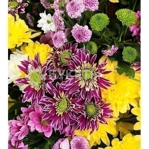 Корзина с хризантемами "Вечность"