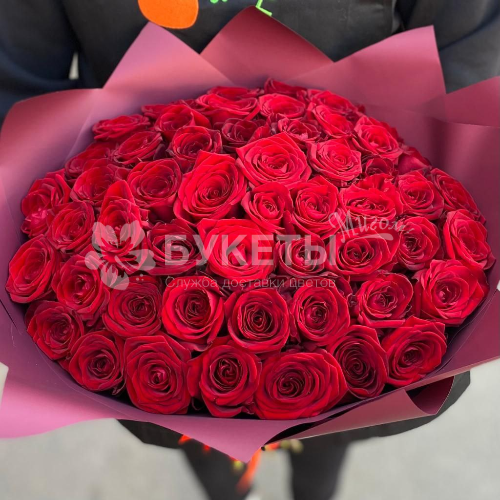 Букет из 51 розы "Красная мечта"