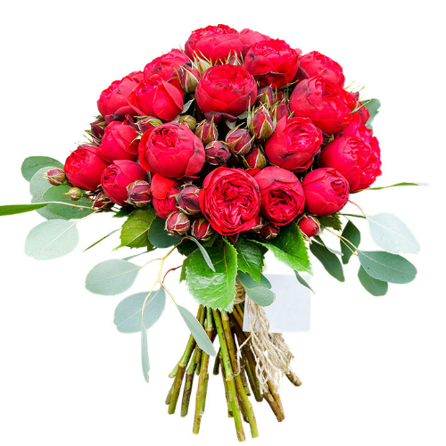 Фотография Букет из красных пионовидных роз Ред Пиано - 7 цветков