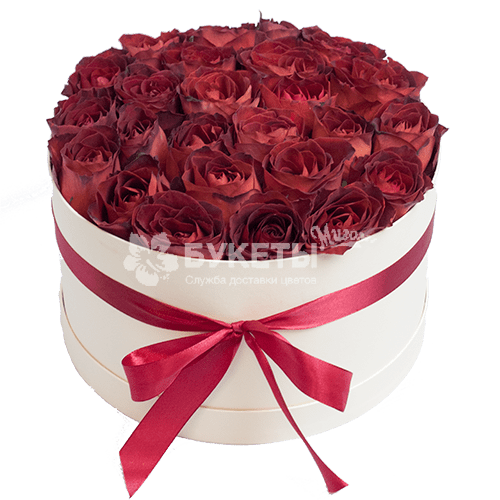 25 кофейных роз в белой коробке