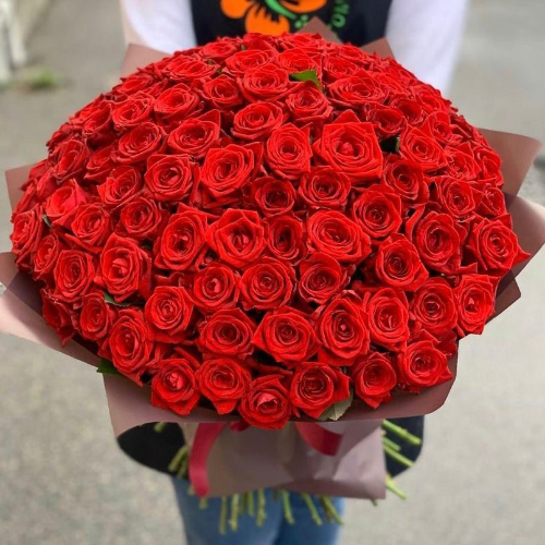Фотография Букет 101 красная роза "Голландия" 