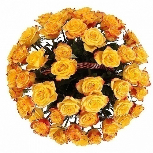 Корзина "Хай анд Флейм"