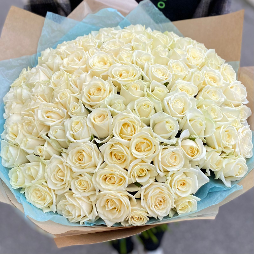 Фотография Букет 101 белая роза "Аваланж" 