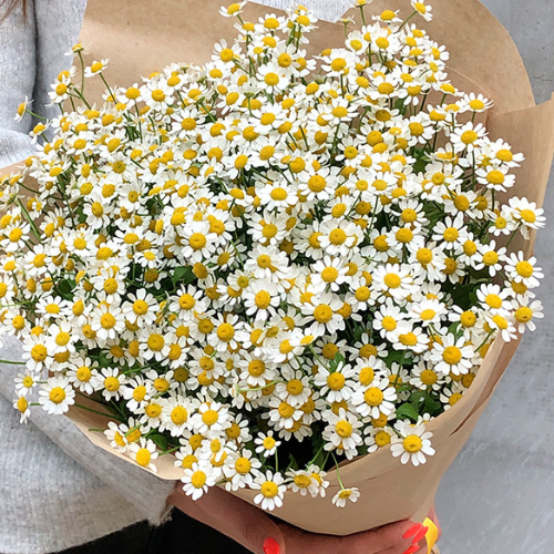 Букет из 25 ромашек