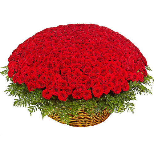Корзина из 501 красной розы