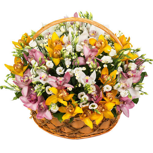 Фотография Корзина "3 орхидеи" 