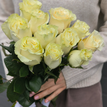 Фотография Букет из 11 белых роз Premium (60cm) 