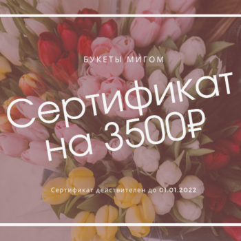 Фотография Подарочный сертификат на 3500 р. 
