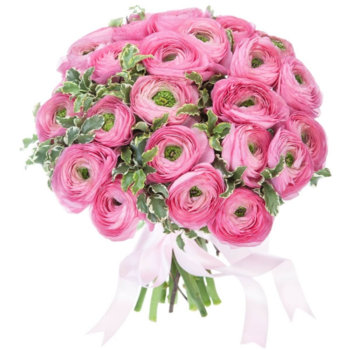 Фотография Букет из розовых ранункулюсов - 15 цветков