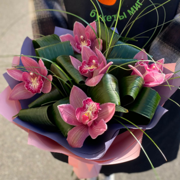 Фотография Букет из 5 розовых орхидей 