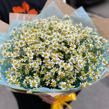 Фотография Букет "Ромашки" - 11 цветков