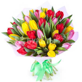 Фотография Букет тюльпанов микс "№3" - 19 цветков
