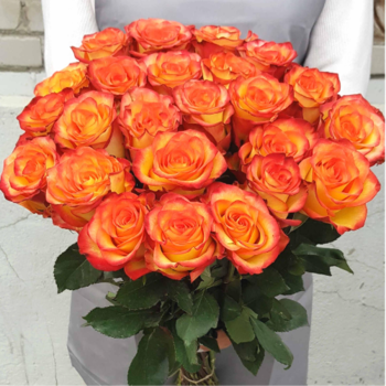 Фотография Букет из роз "Хай анд Флейм" - 25 цветков