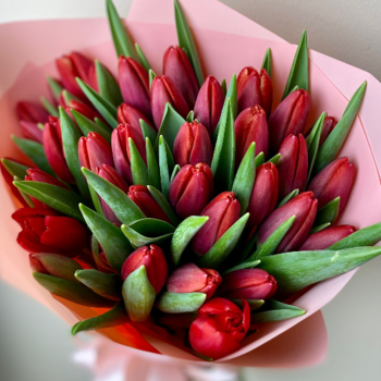 Фотография Букет из красных тюльпанов "Ред Хот" - 15 цветков