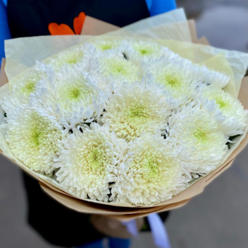 Фотография Букет из одноголовых хризантем "Антонов" - 9 цветков