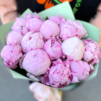 Фотография Букет розовых пионов - 9 цветков