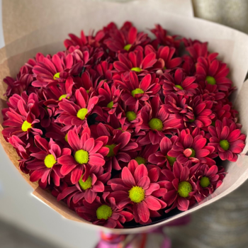 Фотография Букет бордовых хризантем - 9 цветков