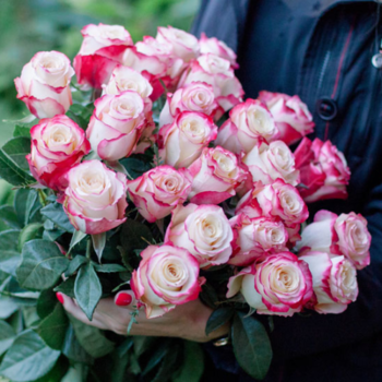 Фотография Букет из роз "Свитнес" - 25 цветков