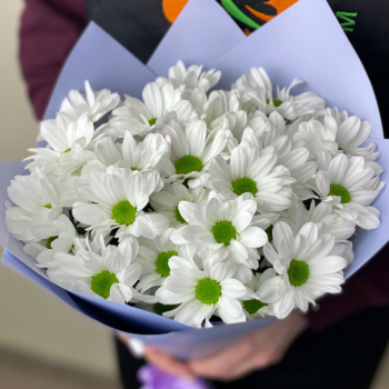 Фотография Букет из 5 белых хризантем 