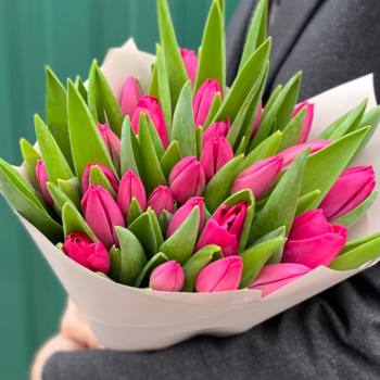 Фотография Букет из 25 ярко-розовых тюльпанов 