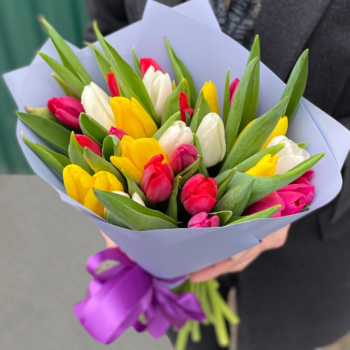 Фотография Букет из 25 ярких тюльпанов 