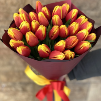 Фотография Букет из 35 красно-желтых тюльпанов 