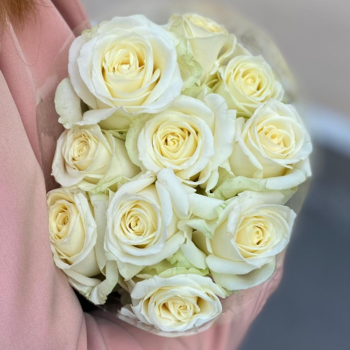 Фотография Белые розы "Аваланш" 50 см (10 шт) 