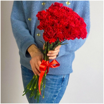 Фотография Букет из красных гвоздик - 15 цветков
