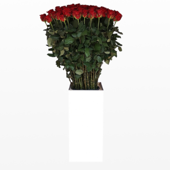 Фотография Букет из метровых красных роз 100 см - 15 цветков