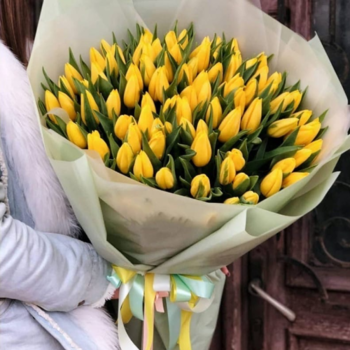 Фотография Букет из 101 желтого тюльпана 