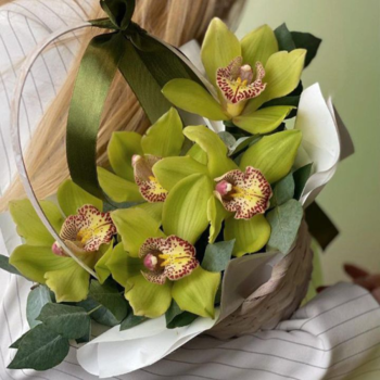 Фотография Зеленые орхидеи в корзине 