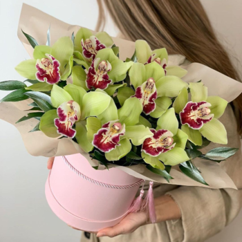 Фотография 9 зеленых орхидей в розовой шляпной коробке 
