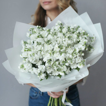 Фотография Букет из белых маттиол - 5 цветков
