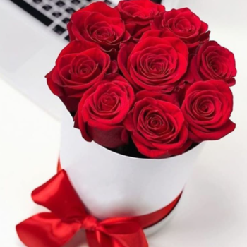 Фотография 9 красных роз "Фридом" в белой шляпной коробке 