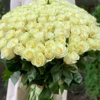 Фотография Букет из 151 высокой белой розы 80 см 