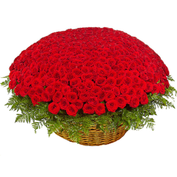 Фотография Корзина из 501 красной розы 