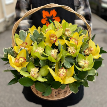 Фотография Корзина с орхидеями "Свежесть весны" 
