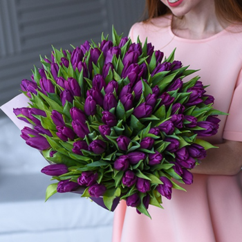 Фотография Букет из 101 фиолетового тюльпана 