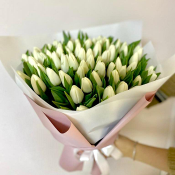 Фотография Букет из 75 белых тюльпанов 