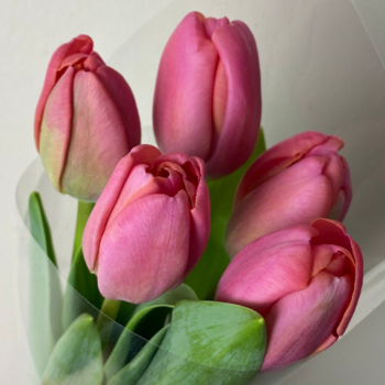 Фотография Букет из 5 розовых тюльпанов 
