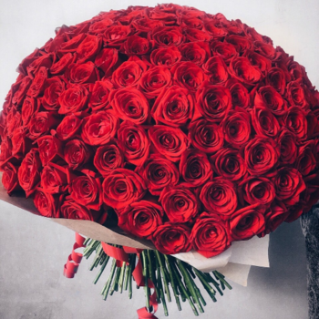 Фотография Букет из 151 красной розы 