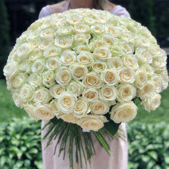 Фотография Букет из 201 белой розы 