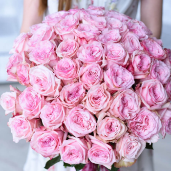 Фотография Букет из розовых пионовидных роз "Пинк Охара" - 25 роз